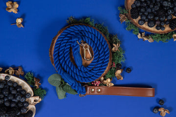 Explorer Rope Lead - Blueberry Berrytrail